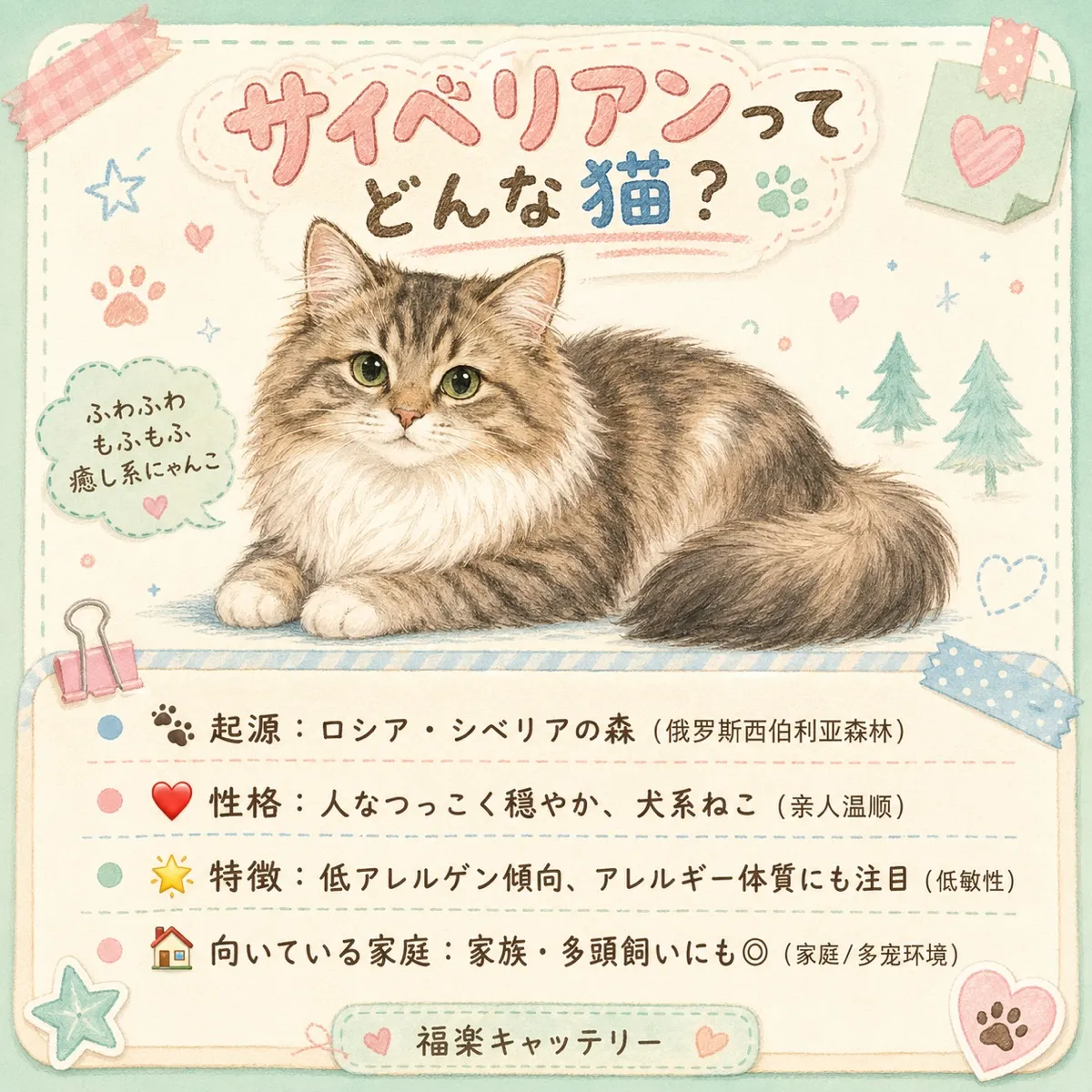 サイベリアンのお手入れ入門